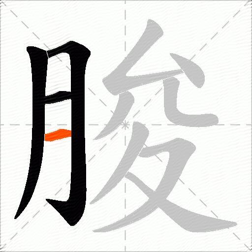 朘