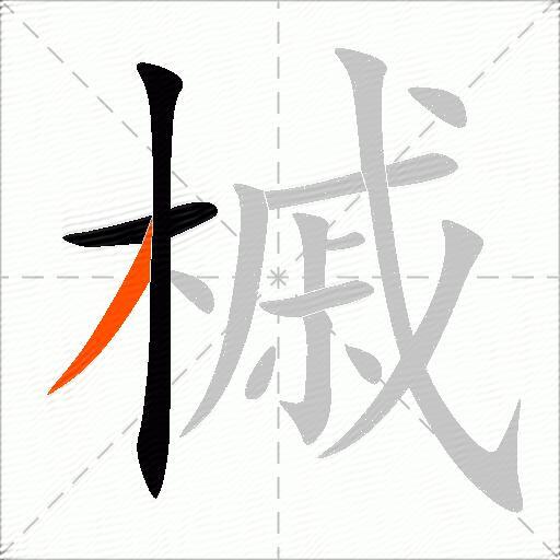 槭