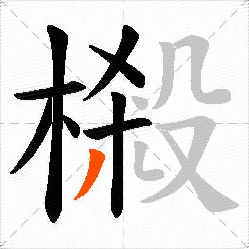樧
