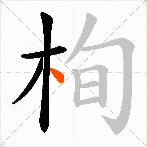 栒