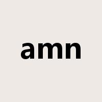 amn是什么意思