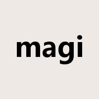 magi是什么意思