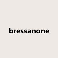 bressanone是什么意思