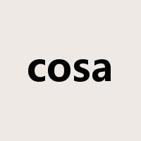 cosa是什么意思