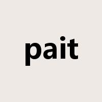 pait是什么意思