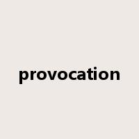 provocation是什么意思
