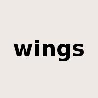 wings是什么意思