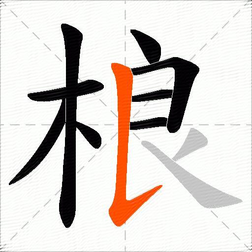 桹