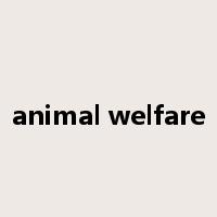 animal welfare是什么意思