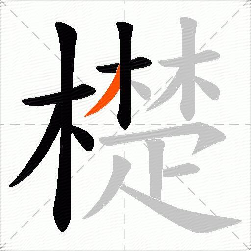 檚