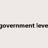 government level是什么意思
