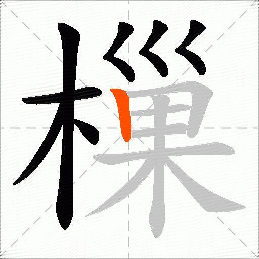 樔