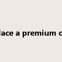 place a premium on是什么意思