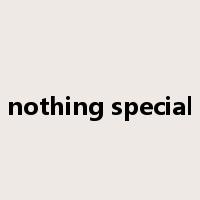 nothing special是什么意思