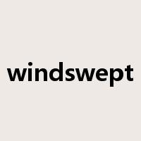 windswept是什么意思