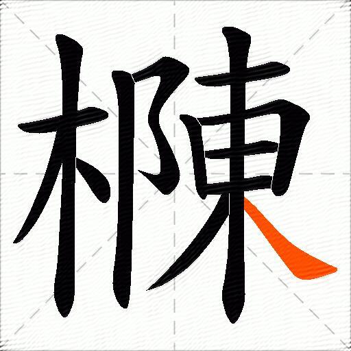樄
