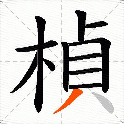 楨