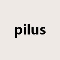 pilus是什么意思