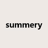 summery是什么意思