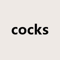 cocks是什么意思