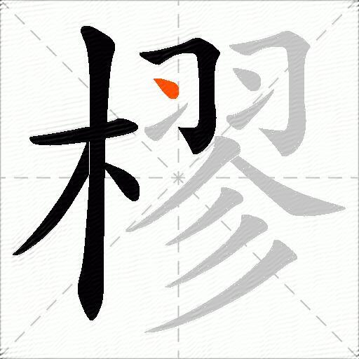 樛