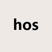 hos是什么意思