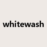 whitewash是什么意思