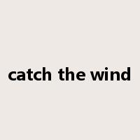 catch the wind是什么意思