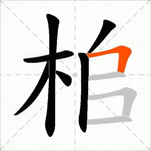 桘
