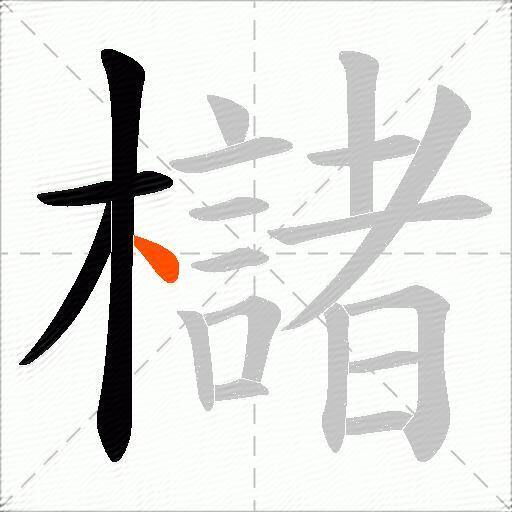 櫧