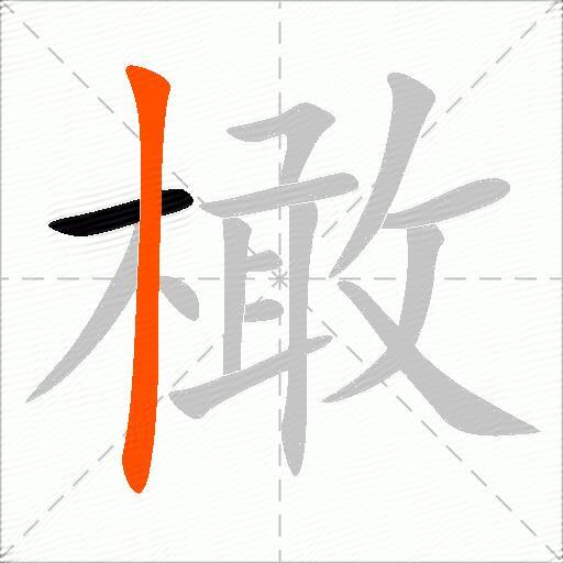 橄