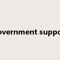 government support是什么意思