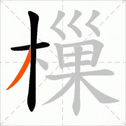樔
