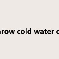 throw cold water on是什么意思