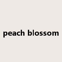 peach blossom是什么意思
