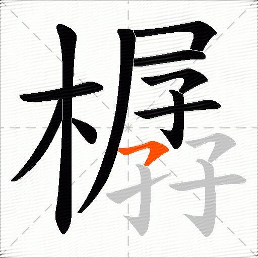 樼