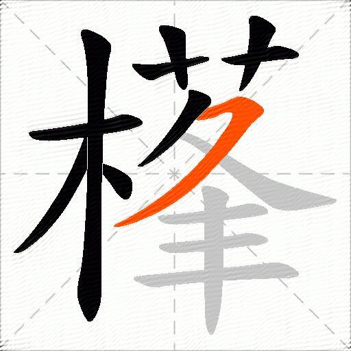 樥