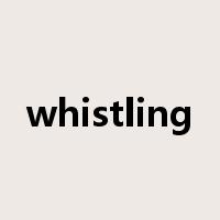 whistling是什么意思
