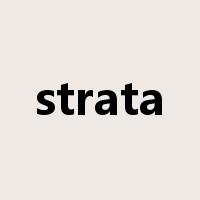 strata是什么意思