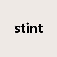 stint是什么意思