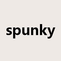 spunky是什么意思
