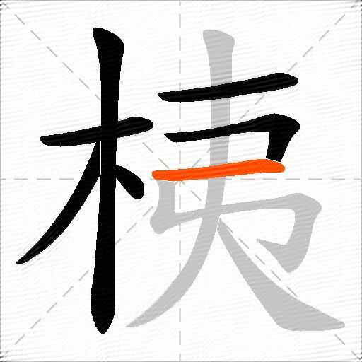 桋