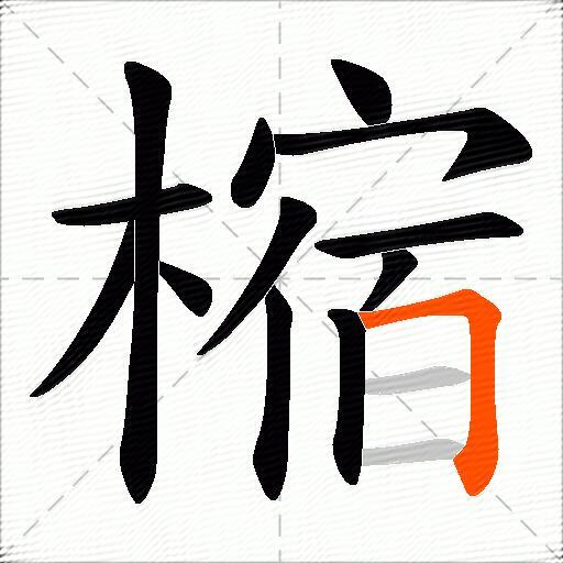 樎