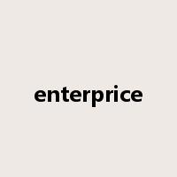 enterprice是什么意思