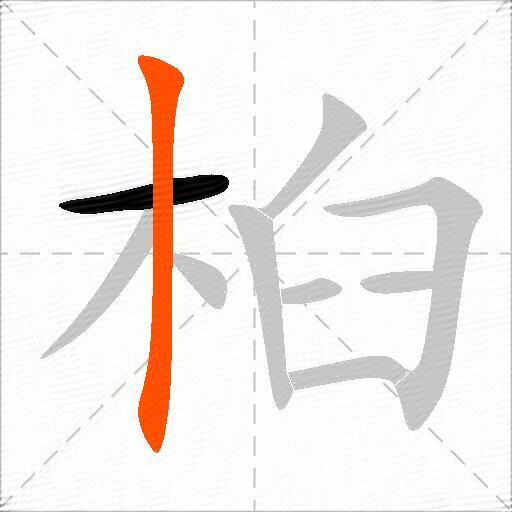 桕