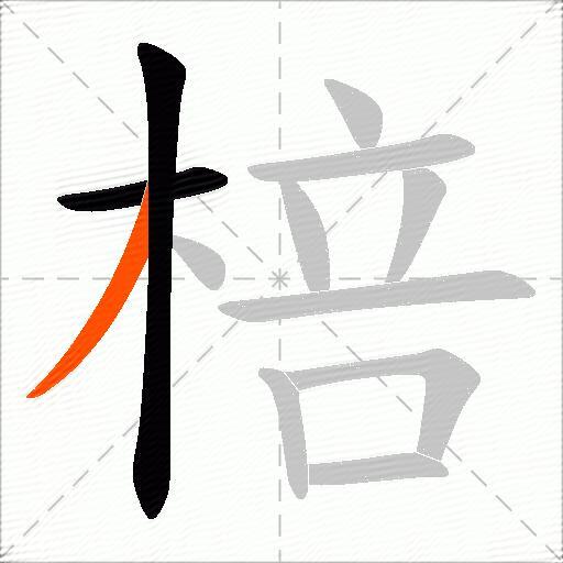 棓