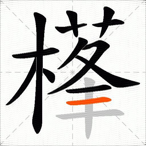 樥