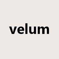velum是什么意思
