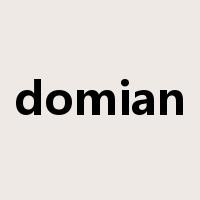domian是什么意思