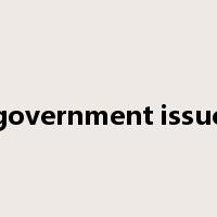 government issue是什么意思